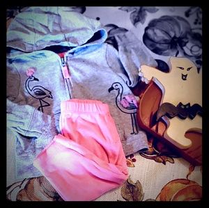 Carters 2pc Flamingo Sweatsuit